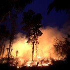 BioBalears 133 - Nueva Temporada y los incendios del Amazonas