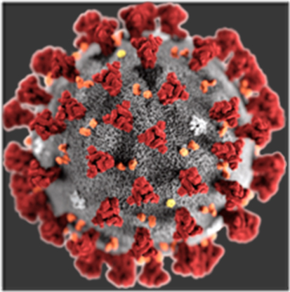coronavirus
