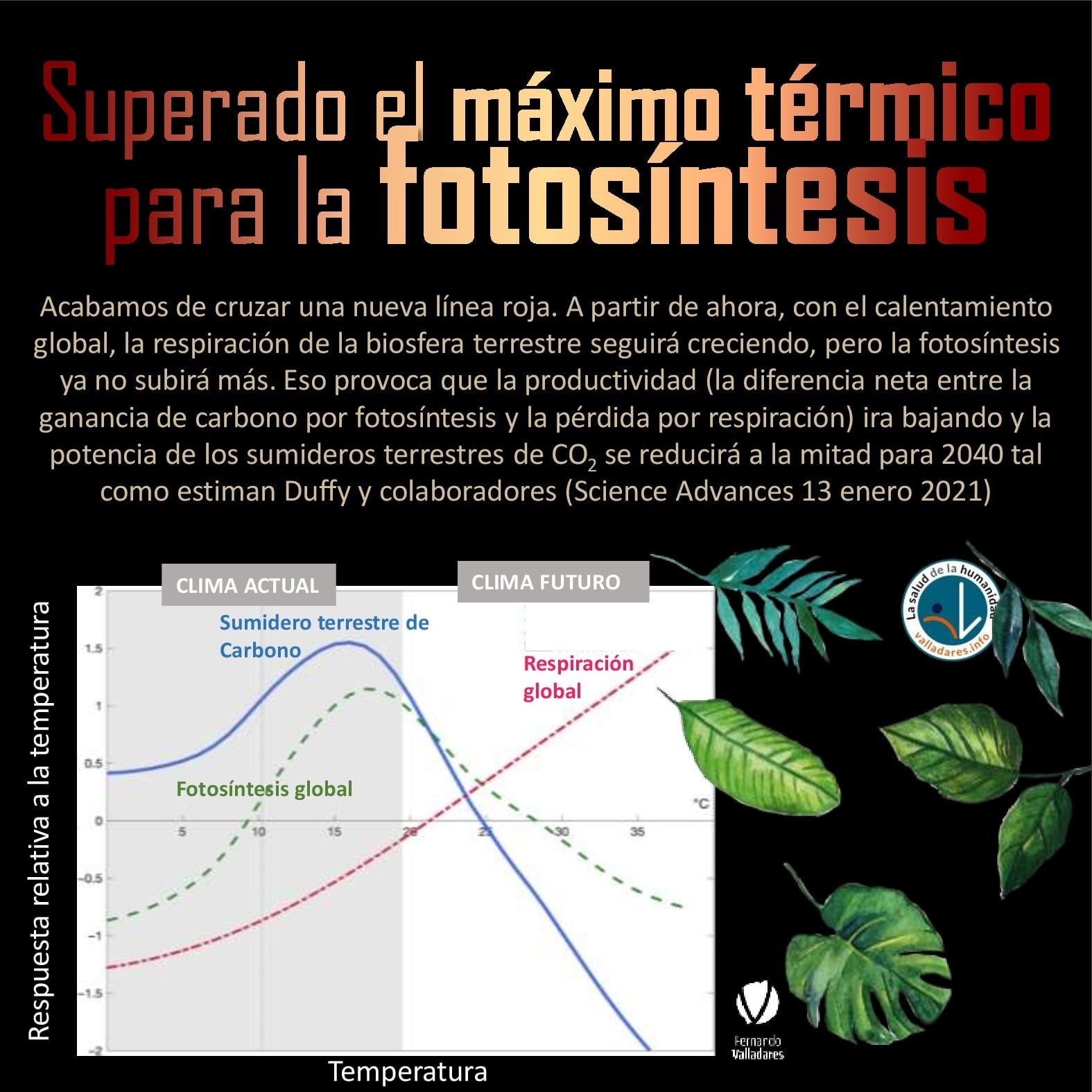Superado el máximo térmico para la fotosíntesis