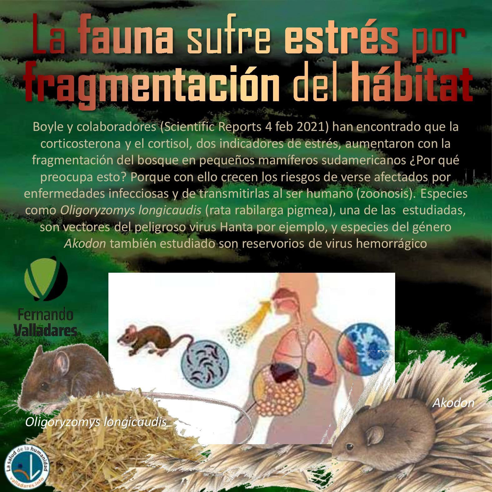 La fauna sufre estrés por fragmentación del hábitat