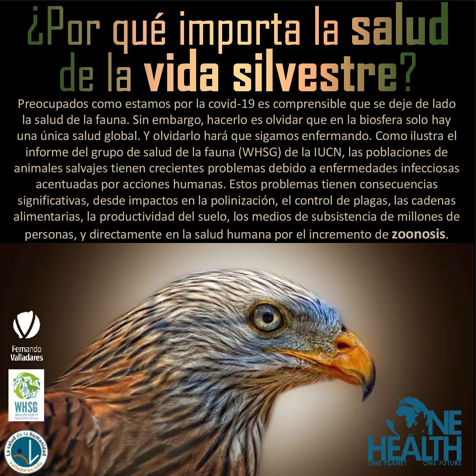 ¿Por qué importa la salud de la vida silvestre?