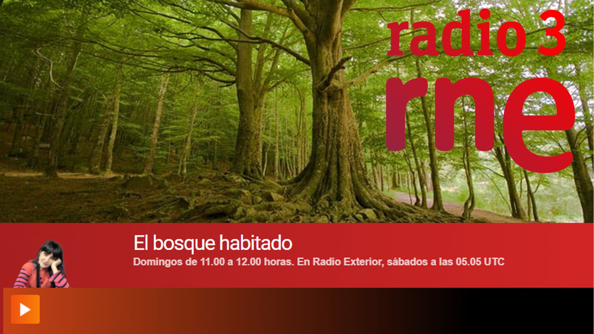 bosque habitado efecto dilucion