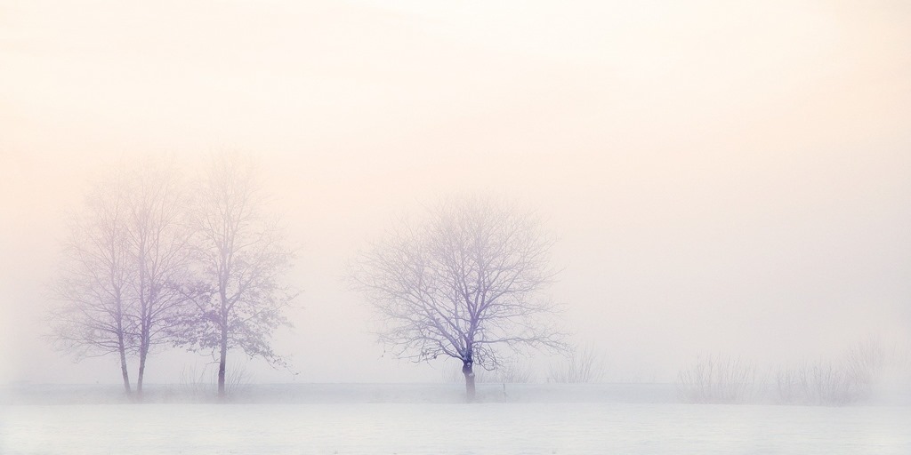 winter-landscape-valladares