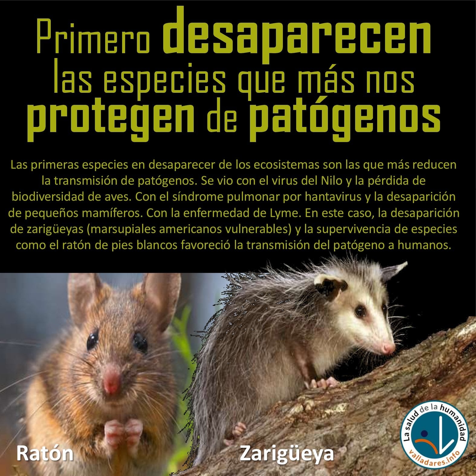 Primero desaparecen