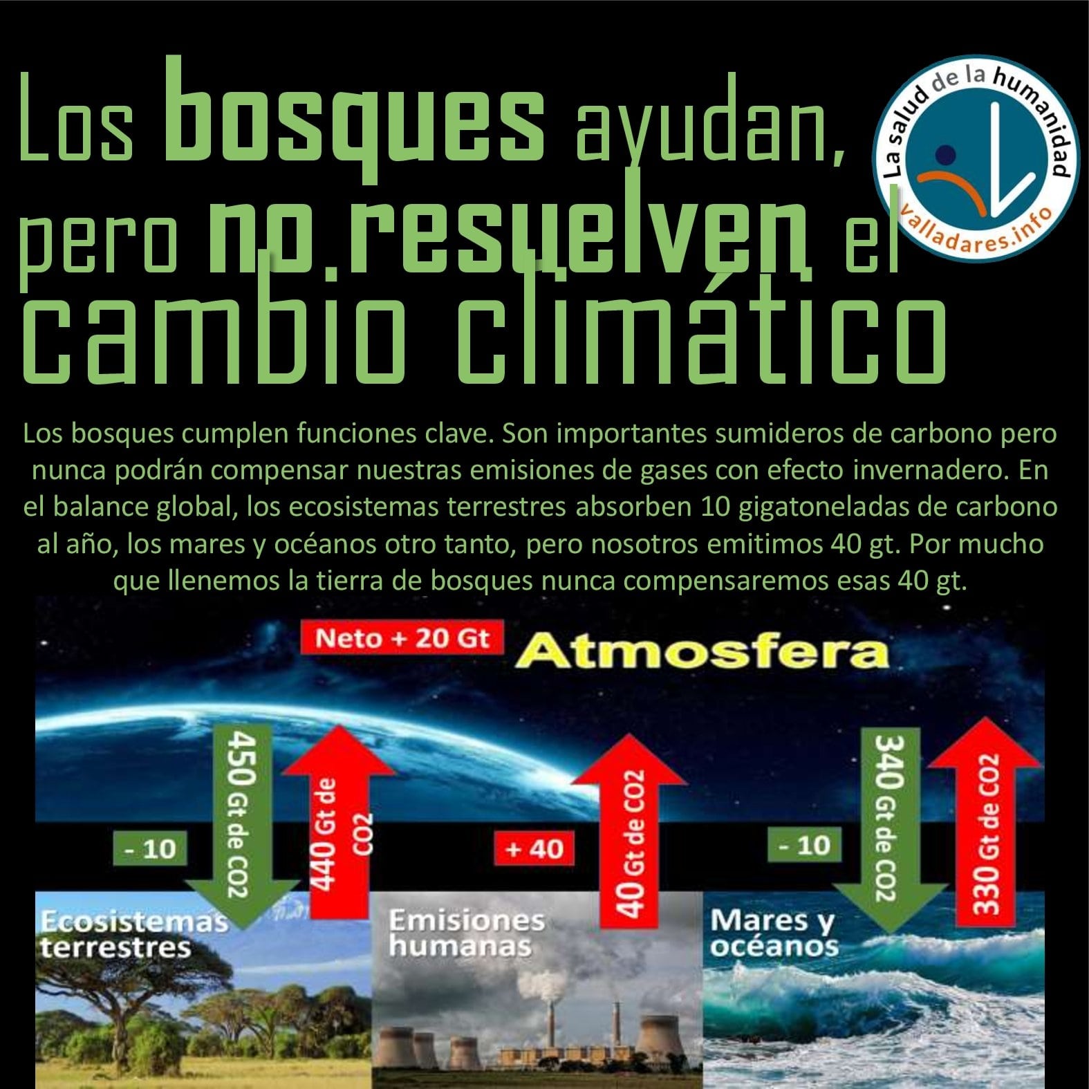 Los bosques ayudan