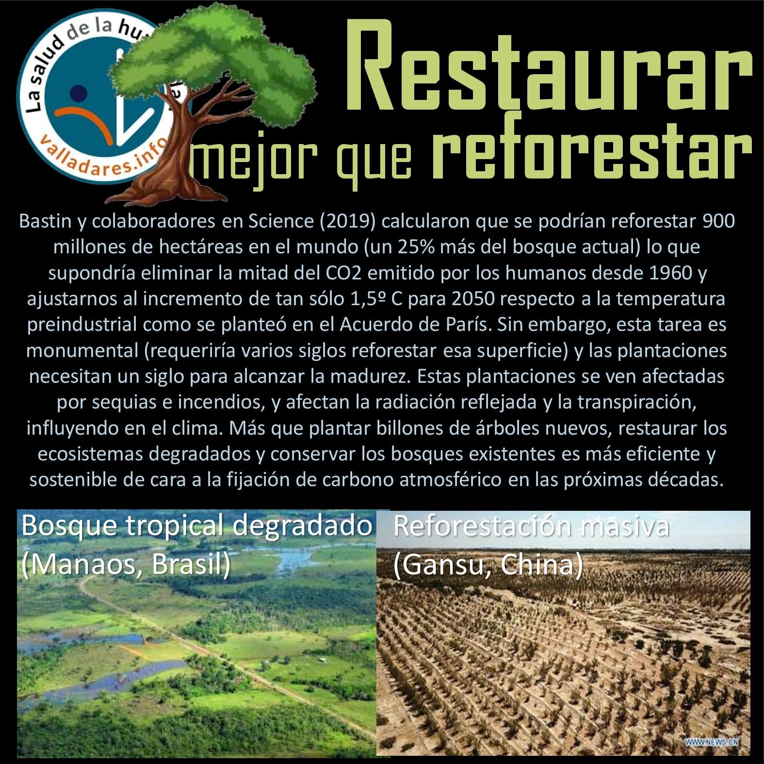 Restaurar