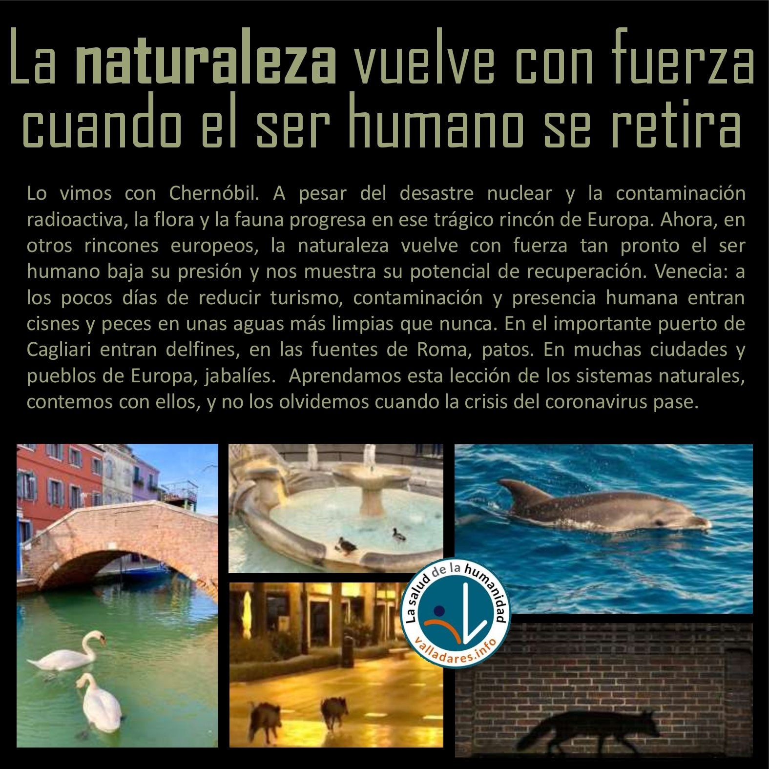 La naturaleza vuelve con fuerza cuando el ser humano se retira