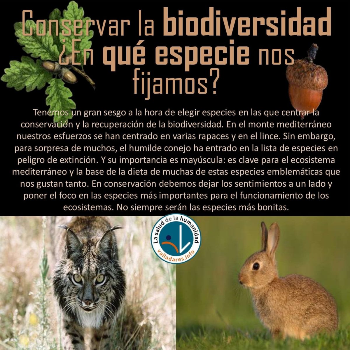 Conservar la biodiversidad ¿En qué especie