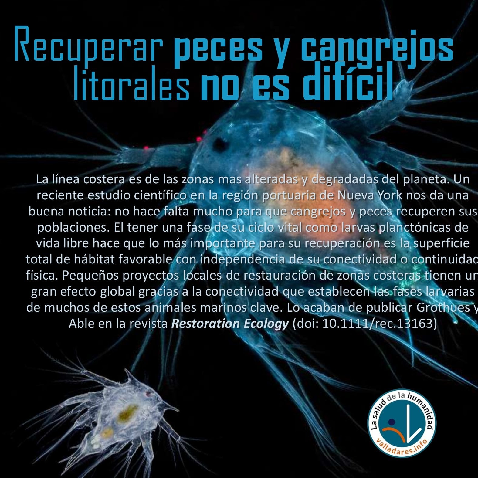 Recuperar peces y cangrejos litorales no es difícil