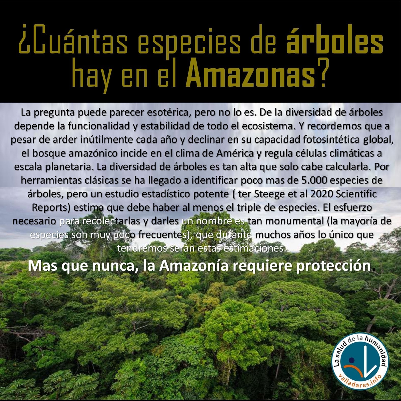 Cuántas especies de árboles hay en el Amazonas? - Fernando Valladares