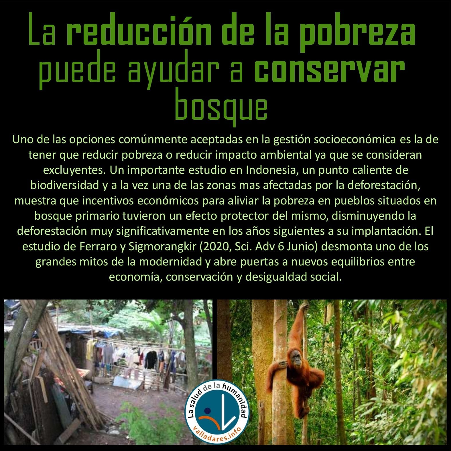 La reducción de la pobreza puede ayudar a conservar bosque
