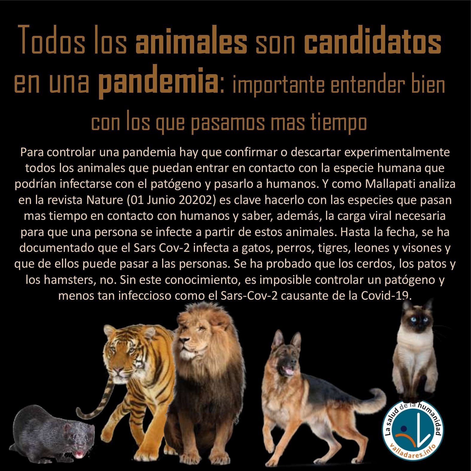 Todos los animales son candidatos en una pandemia: importante entender bien con los que pasamos mas tiempo