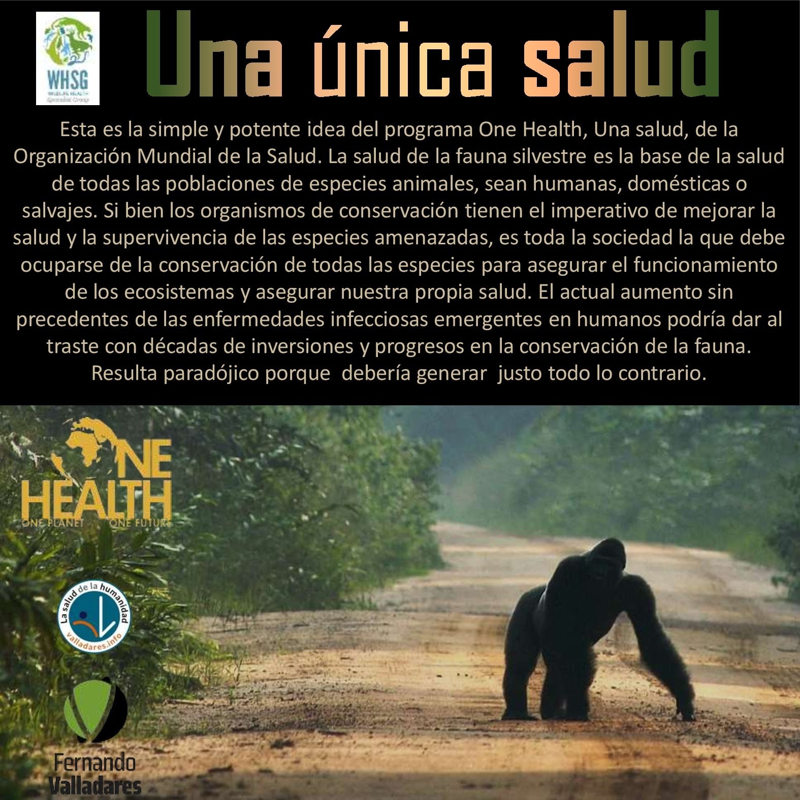 Una única salud