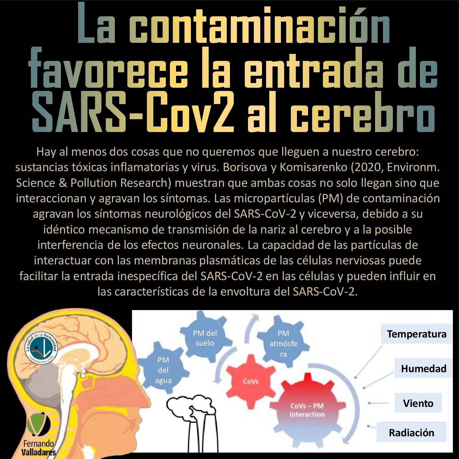 La contaminación favorece la entrada de SARS-Cov2 al cerebro