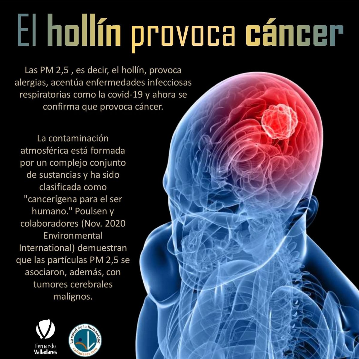 El hollín provoca cáncer Fernando Valladares