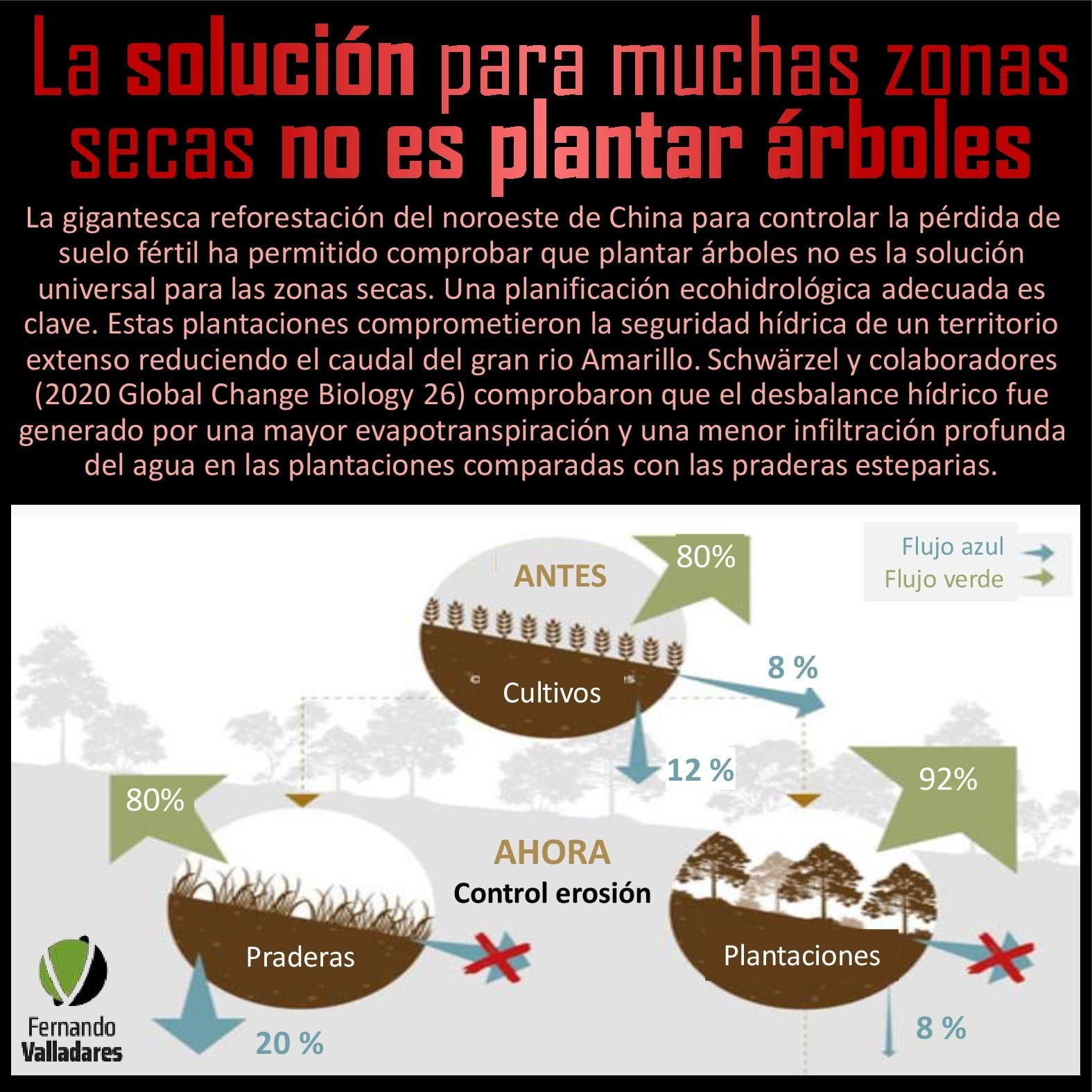 La solución para muchas zonas secas no es plantar árboles