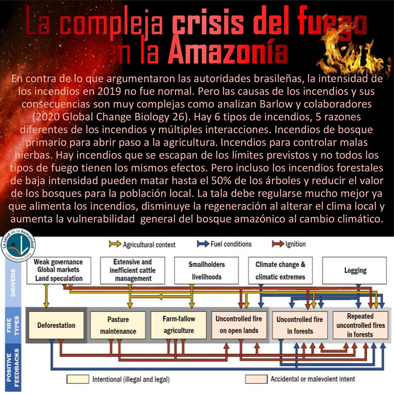 La compleja crisis del fuego en la Amazonía