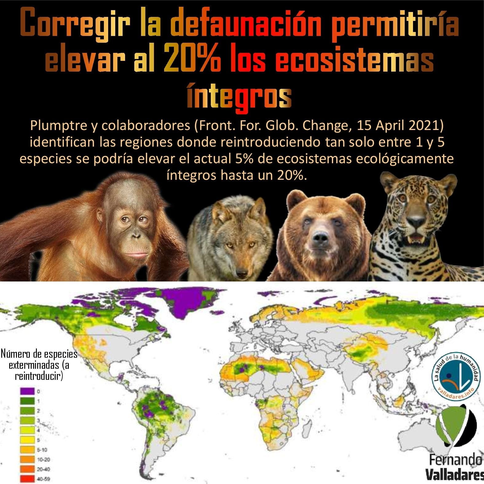 Corregir la defaunación permitiría elevar al 20% los ecosistemas íntegros