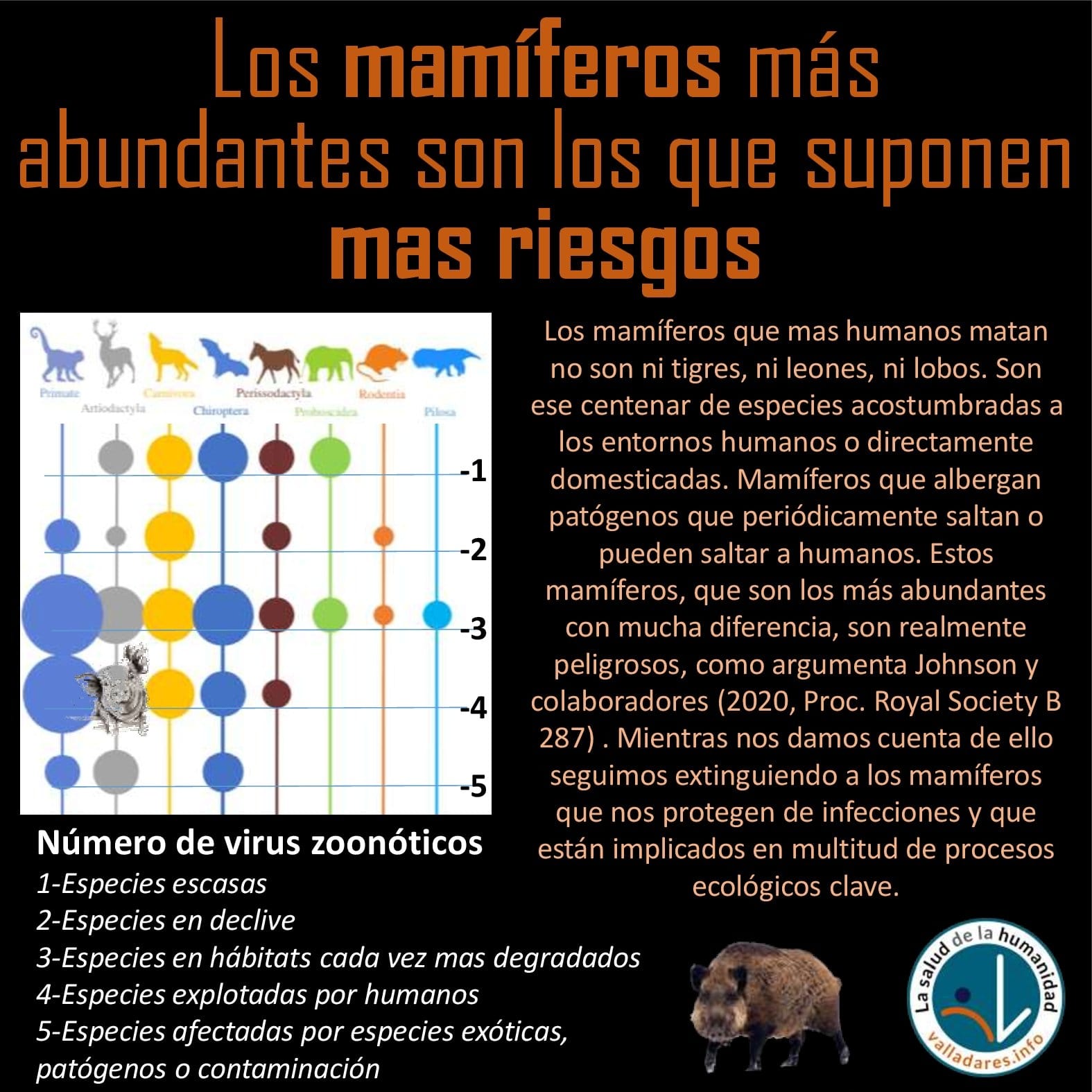 Los mamíferos más abundantes son los que suponen mas riesgos