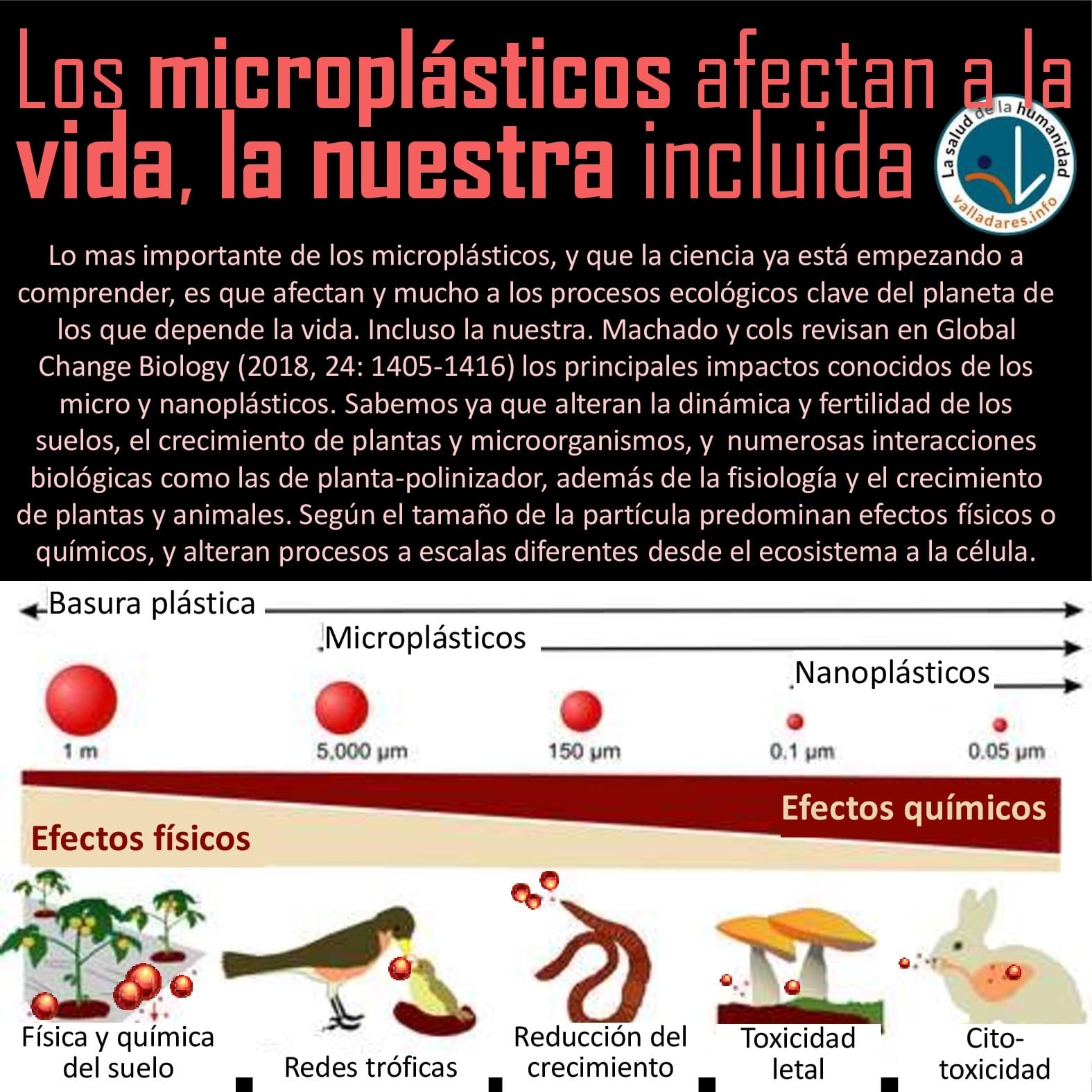 Los microplásticos afectan a la vida