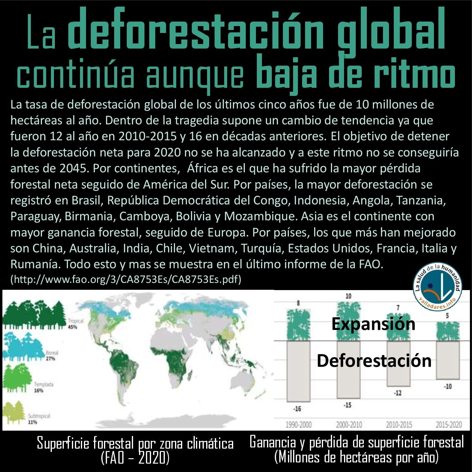 La deforestación global continúa aunque baja de ritmo