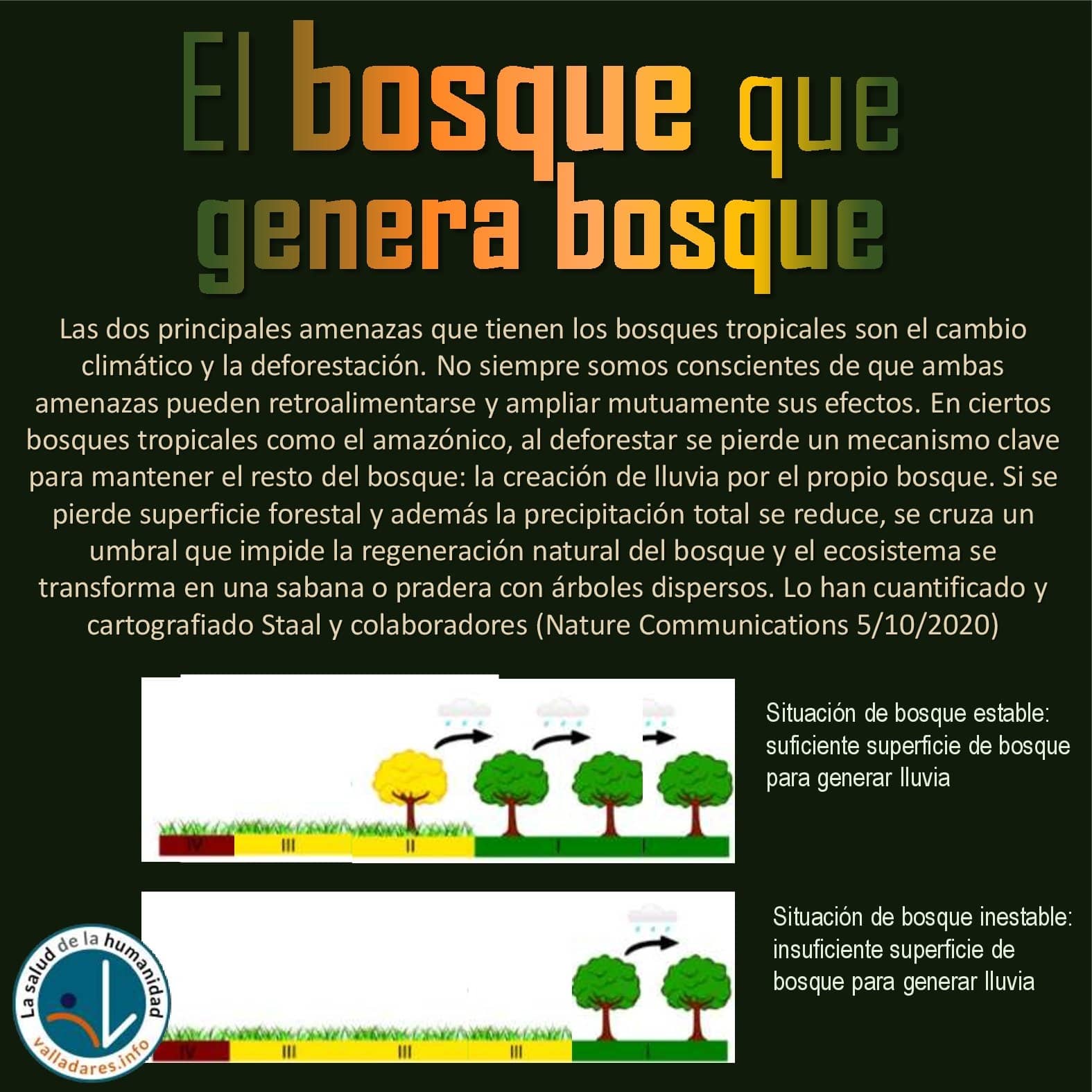 El bosque que genera bosque