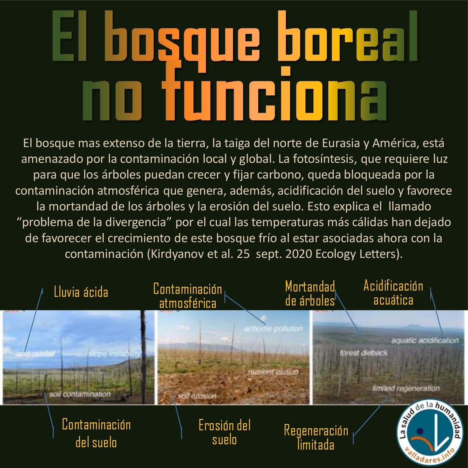 El bosque boreal no funciona