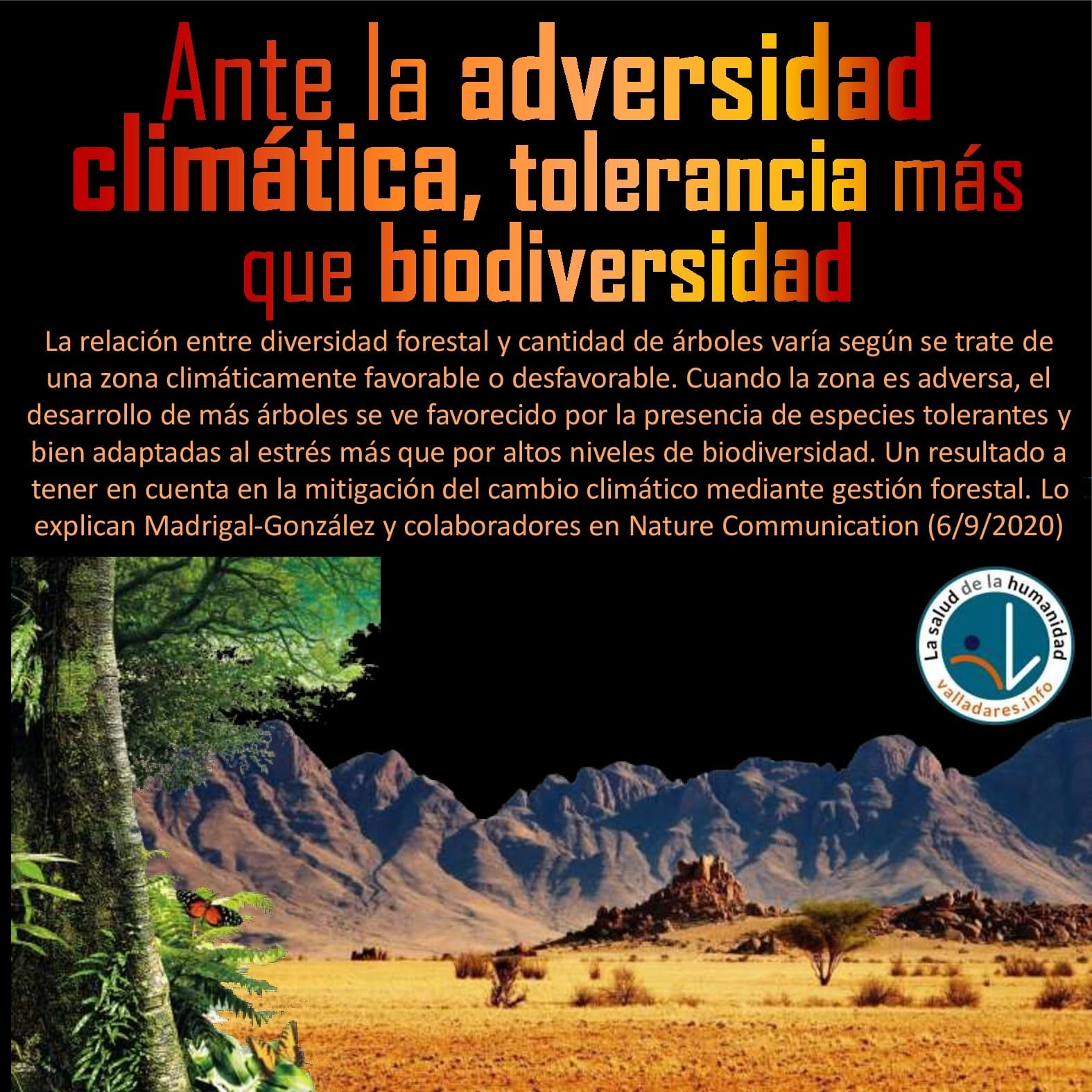 Ante la adversidad climática