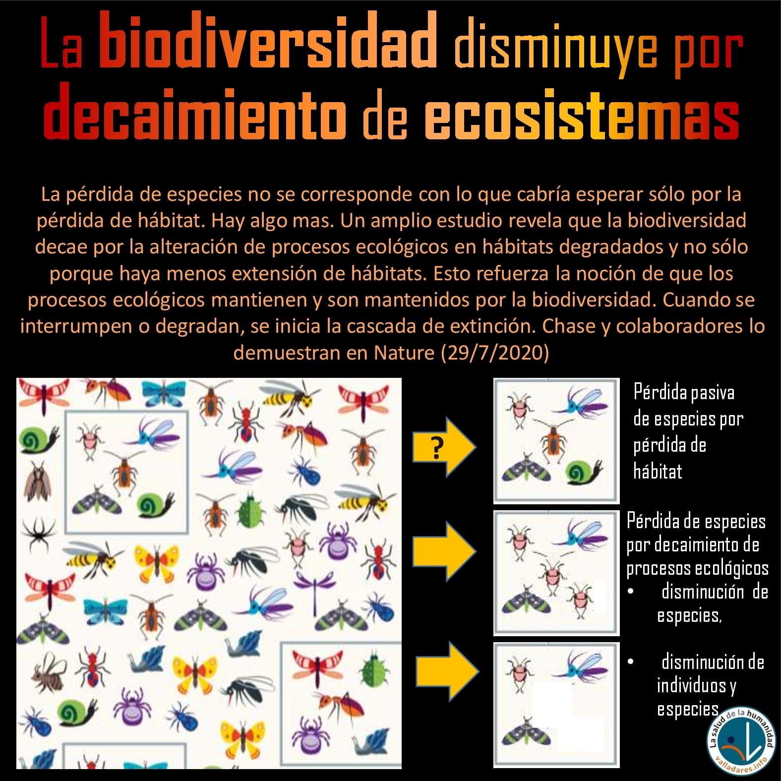 La biodiversidad disminuye por decaimiento de ecosistemas