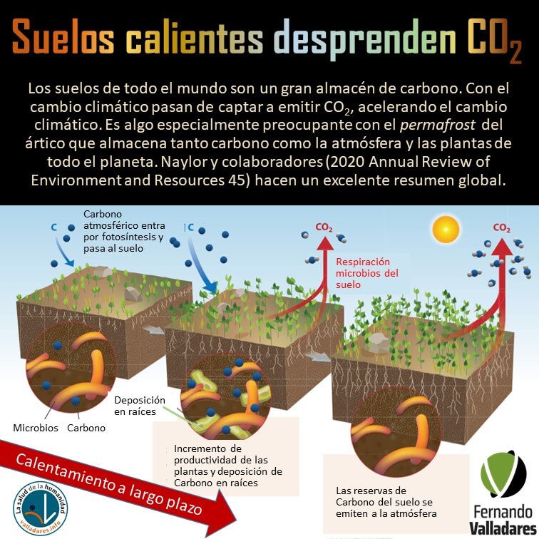 Suelos calientes desprenden CO2