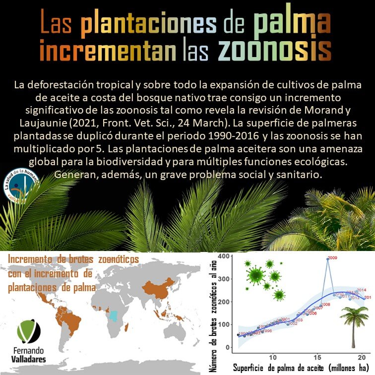Las plantaciones de palma incrementan las zoonosis