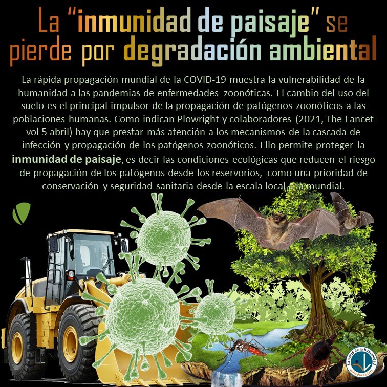 La “inmunidad de paisaje” se pierde por degradación ambiental