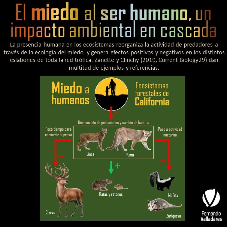 El miedo al ser humano