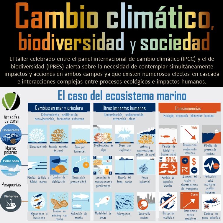 Cambio climático