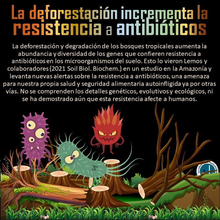 La deforestación incrementa la resistencia a antibióticos