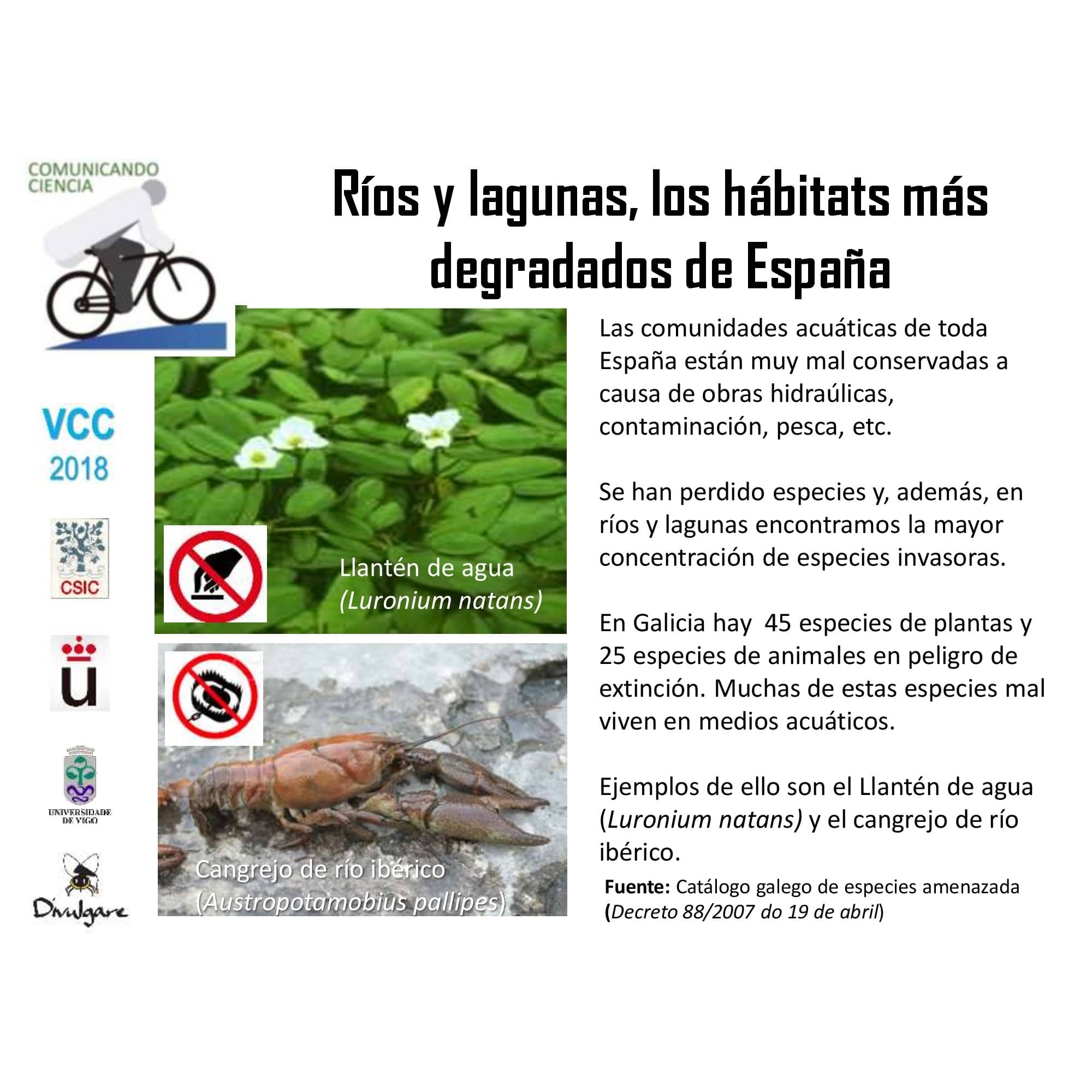 Ríos y lagunas