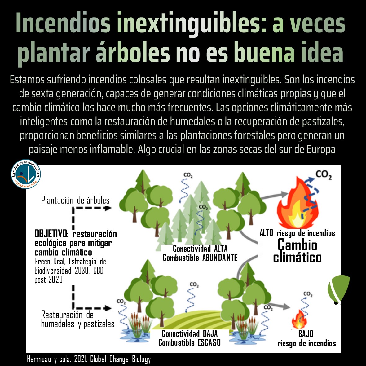 Incendios inextinguibles: a veces plantar árboles no es buena idea