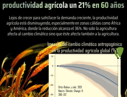 El cambio climático reduce la producción agrícola un 21% en 60 años