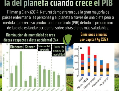 La dieta empeora nuestra salud y la del planeta cuando crece el PIB