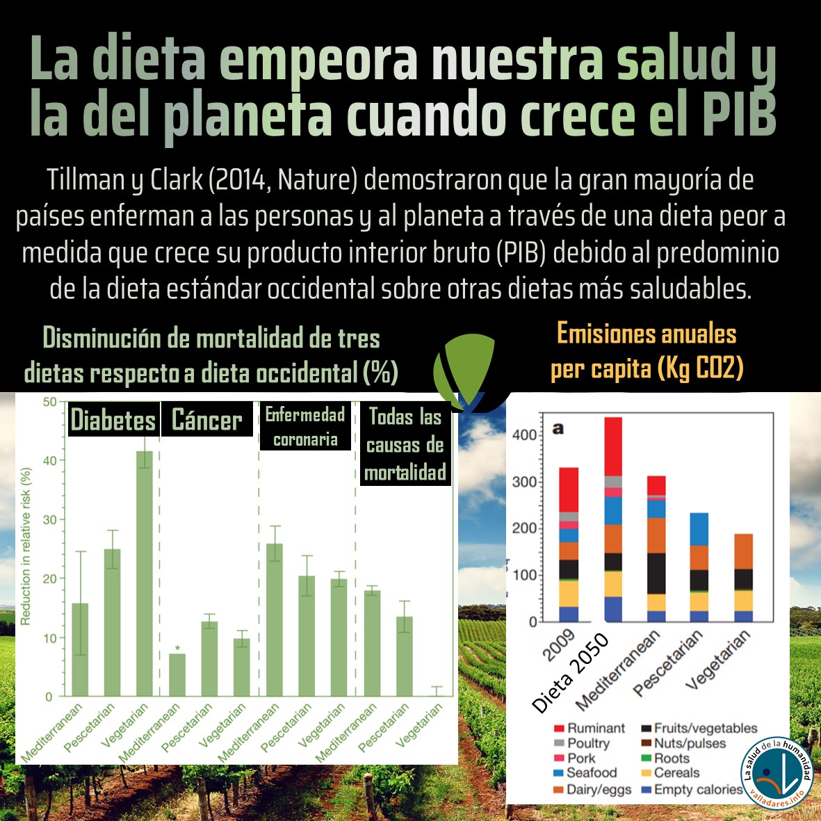 La dieta empeora nuestra salud y la del planeta cuando crece el PIB