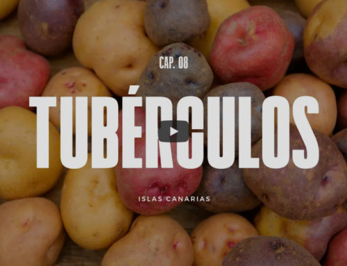 Tubérculos (Canarias) – Episodio 8
