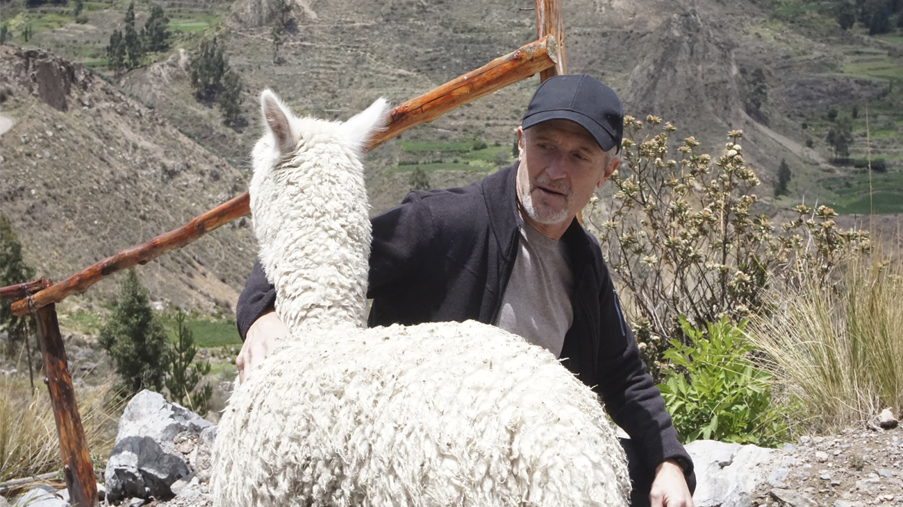 Fernando_Llama