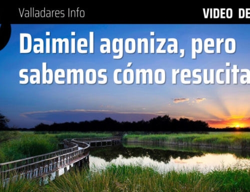 Daimiel agoniza, pero sabemos cómo resucitarlo