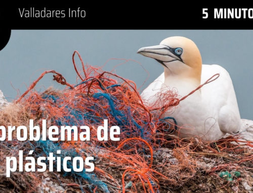 5 MINUTOS CON… El problema de los plásticos