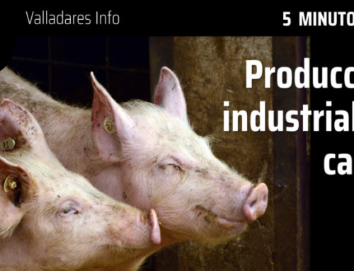 5 MINUTOS CON… La producción industrial de carne