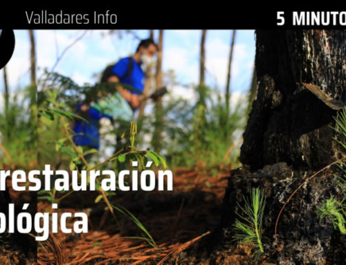 5 MINUTOS CON… La restauración ecológica